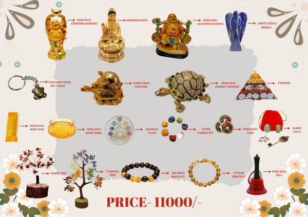Ultimate Feng Shui Prosperity & Protection Kit