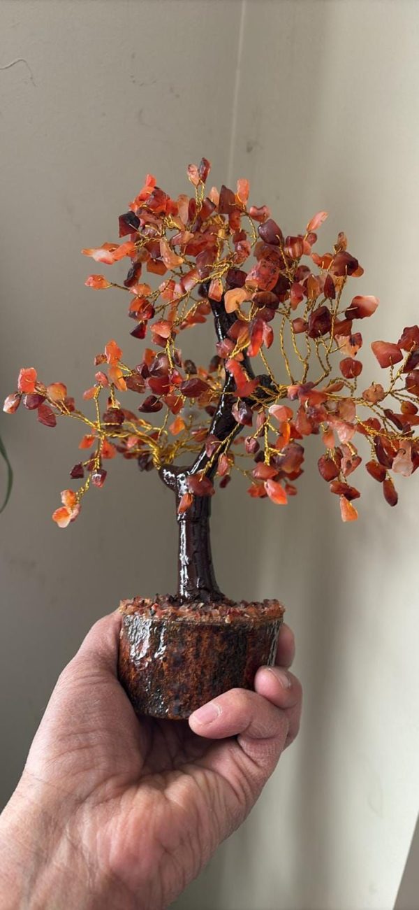 Carnelian 100 Beads Crystal Tree – Energy & Success Booster